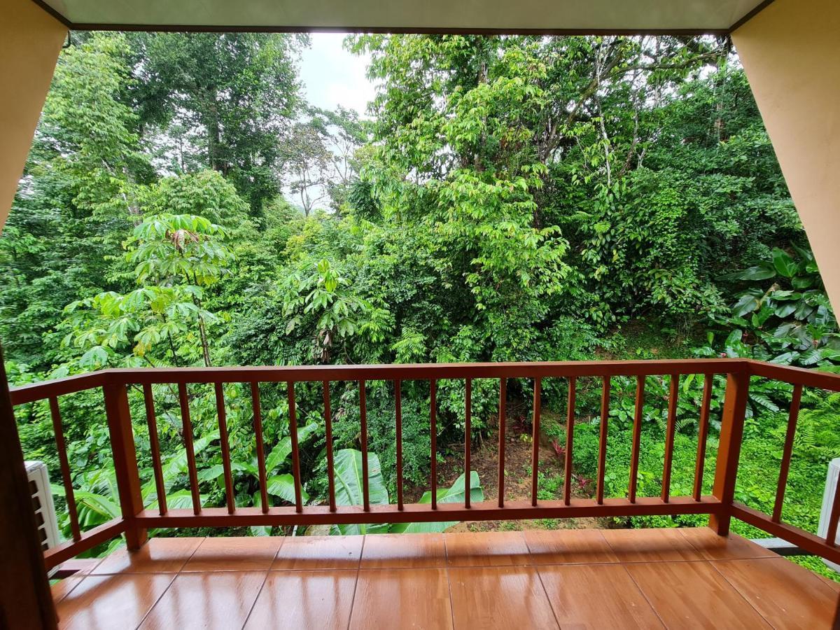 Ceiba Lodge Drake Bay Zewnętrze zdjęcie