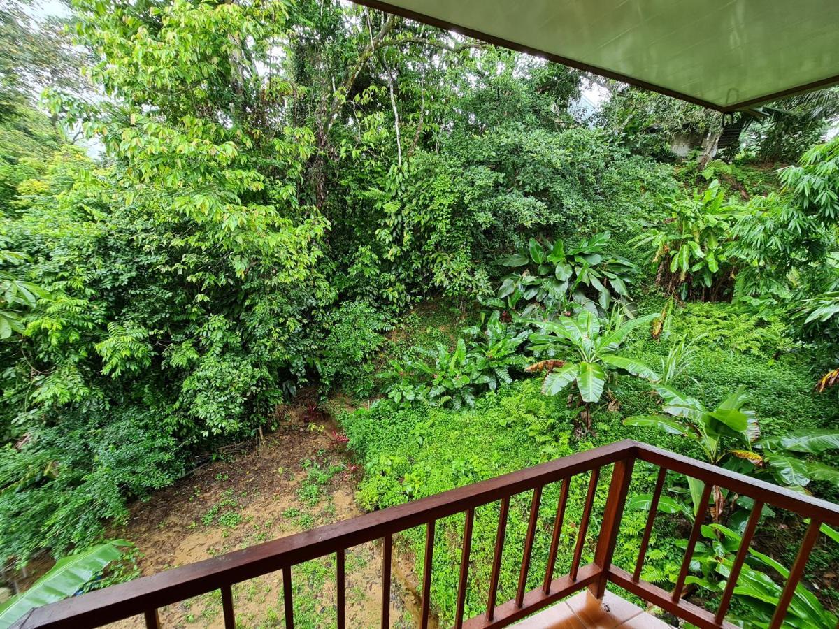 Ceiba Lodge Drake Bay Zewnętrze zdjęcie