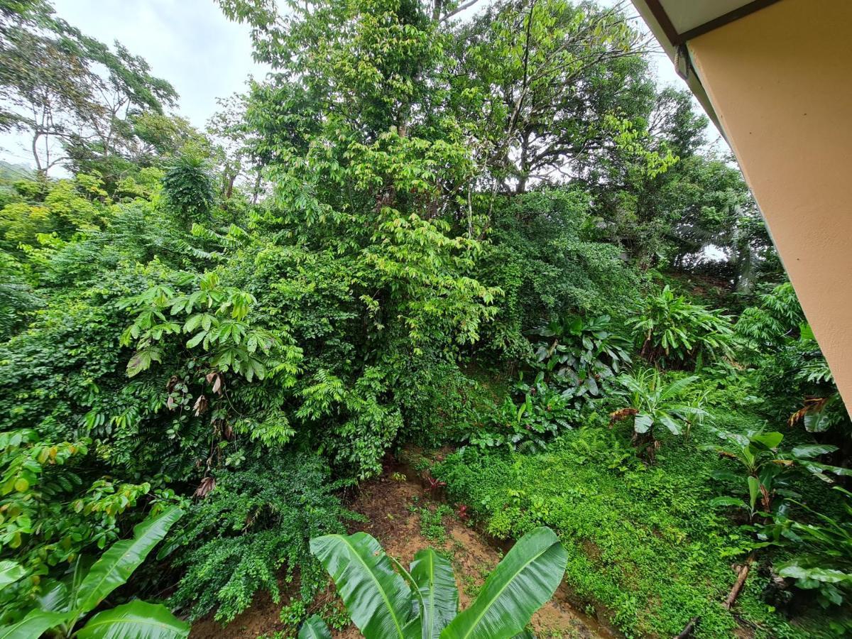 Ceiba Lodge Drake Bay Zewnętrze zdjęcie