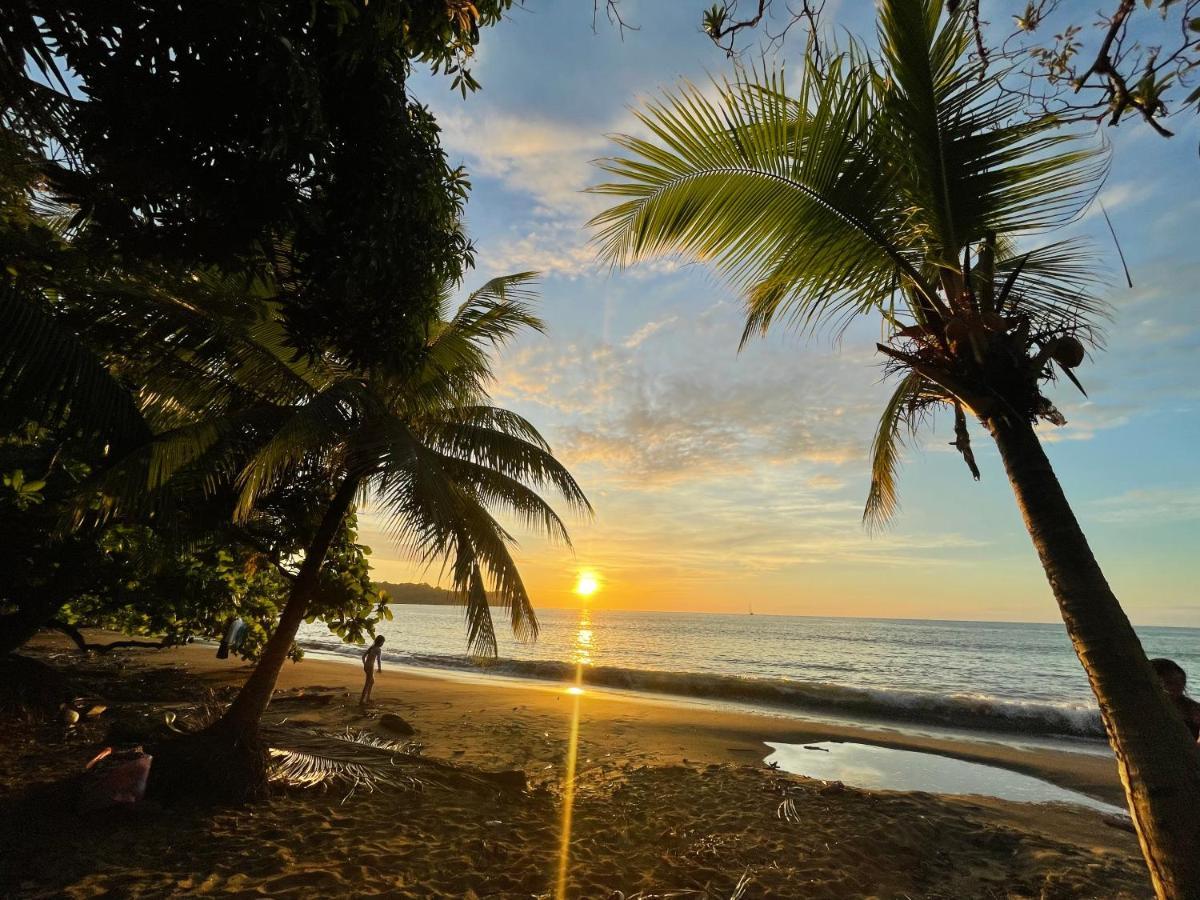 Ceiba Lodge Drake Bay Zewnętrze zdjęcie