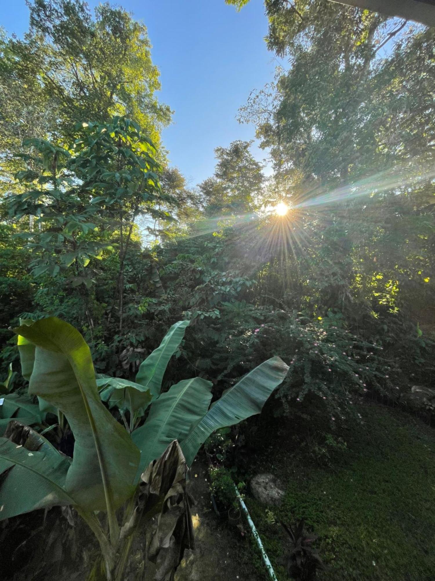 Ceiba Lodge Drake Bay Zewnętrze zdjęcie