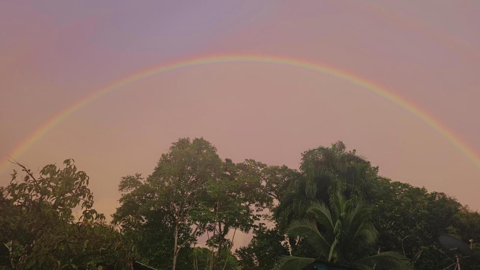 Ceiba Lodge Drake Bay Zewnętrze zdjęcie