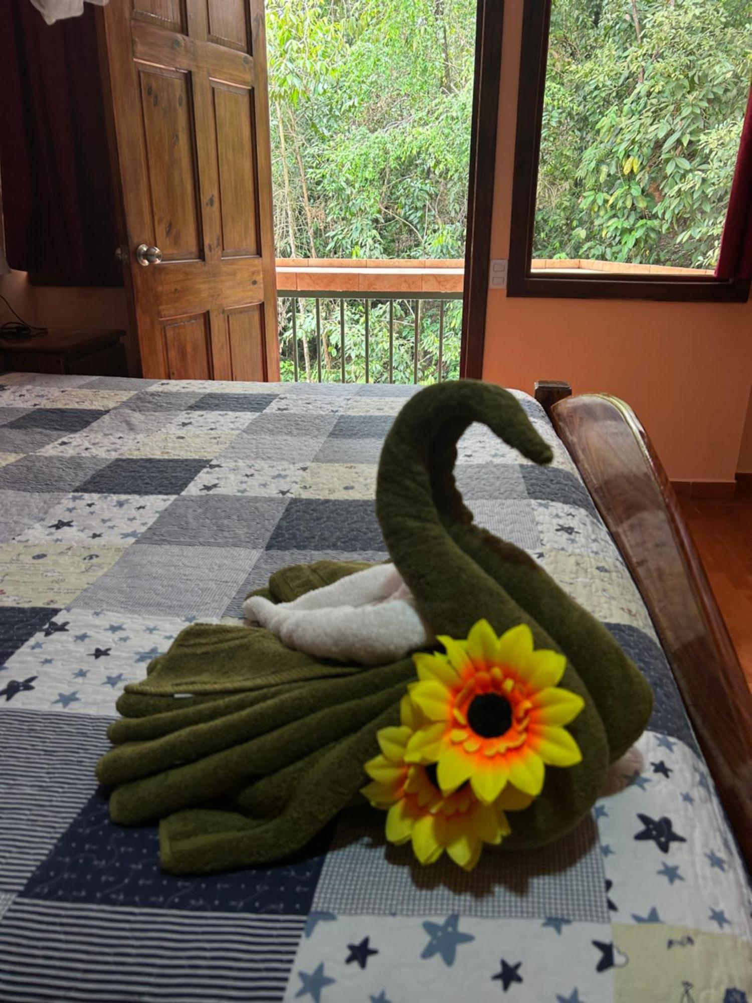 Ceiba Lodge Drake Bay Zewnętrze zdjęcie